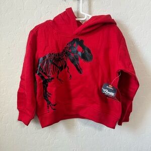 Red Dinosaur Hoodie for Kids